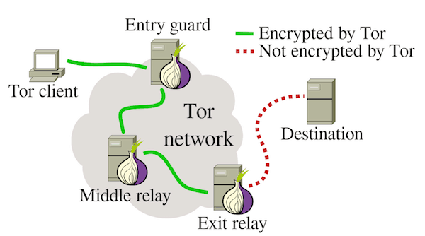 tor router diagram