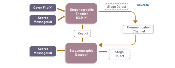 Basic Steganography Model